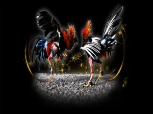 Cách Chơi Đá Gà Sabong Tại Bet88 Thắng Lớn Từ Các Cao Thủ