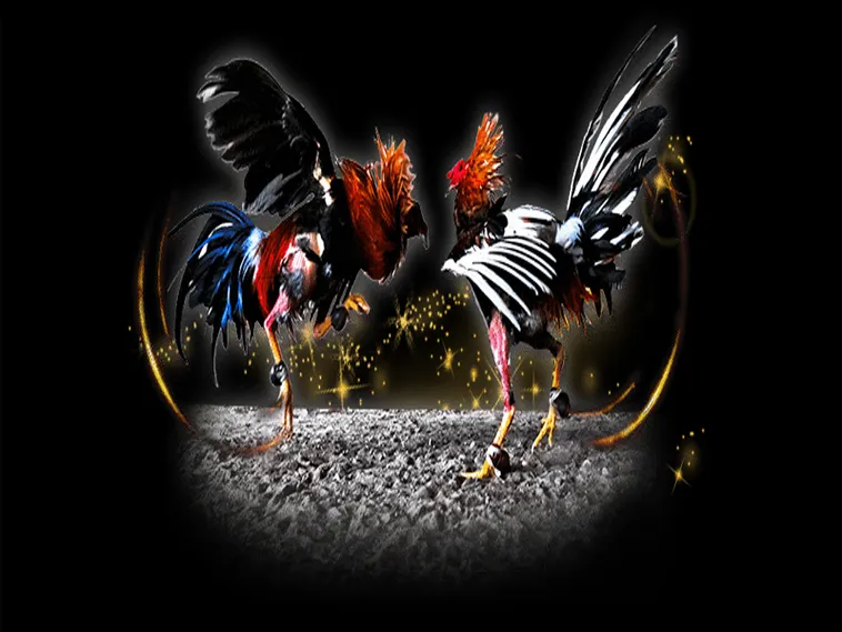 Cách Chơi Đá Gà Sabong Tại Bet88 Thắng Lớn Từ Các Cao Thủ