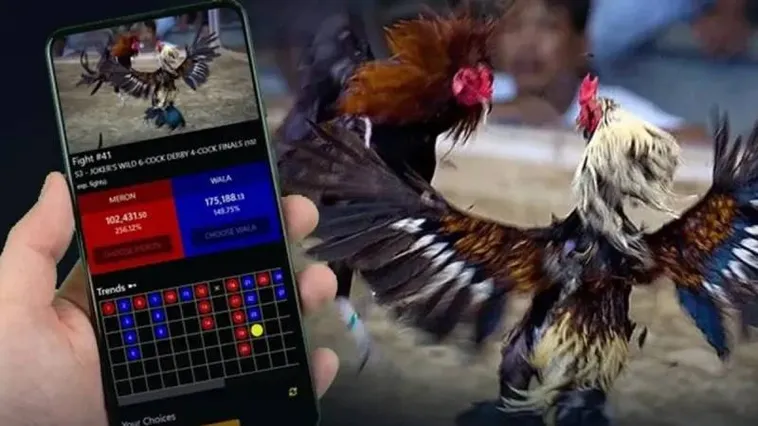 Đá Gà Bet88 Khám Phá Đấu Trường Trực Tuyến Đỉnh Cao Hàng Đầu